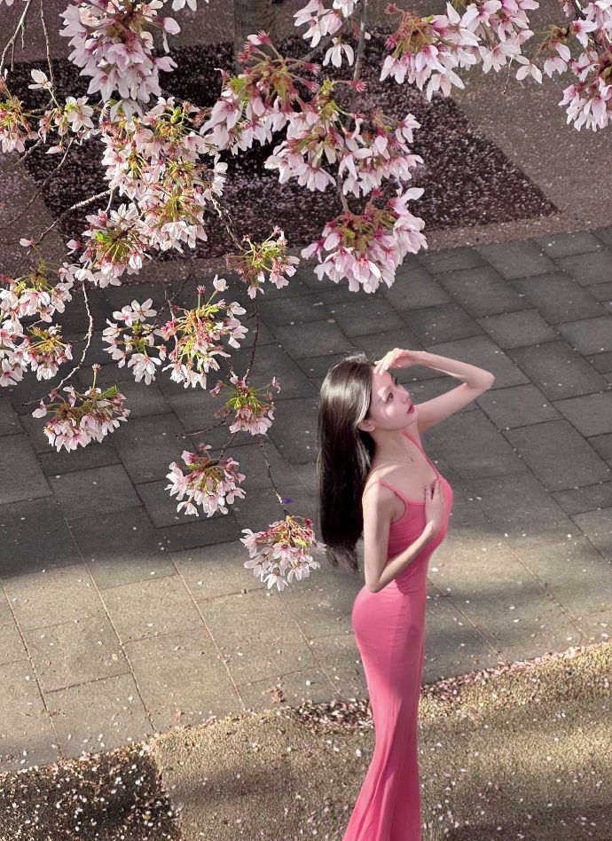 与凤行 封面