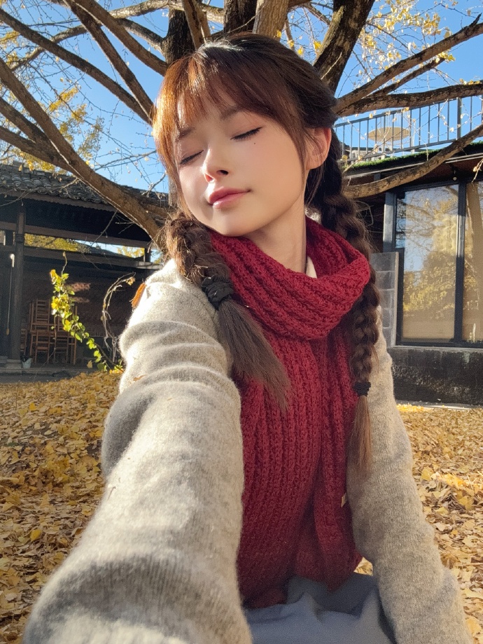 我的团长我的团 封面